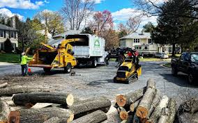 Best Arborist Consultation Services  in Crestline, OH